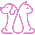 Addision Animal Hospital