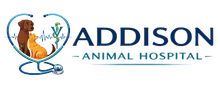 Addison Animal Hospital